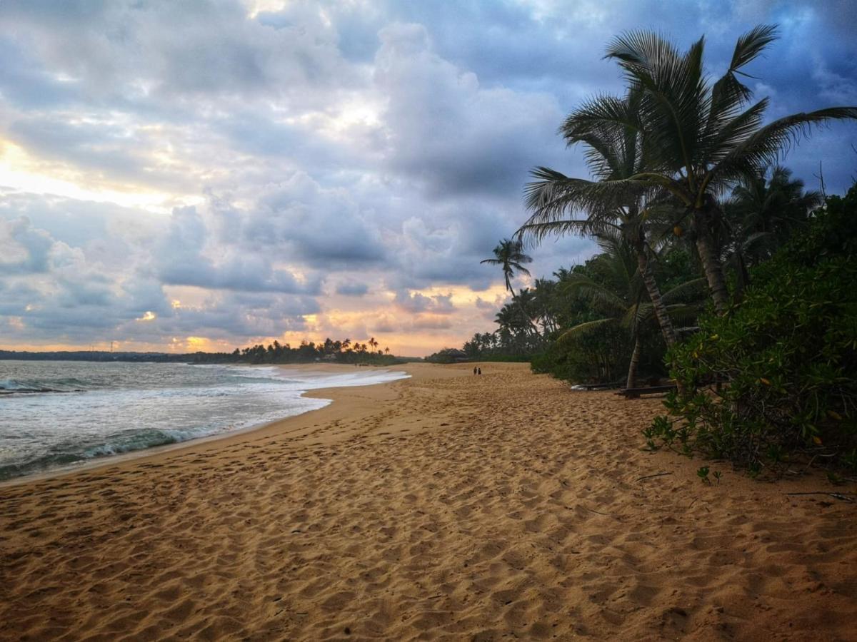 Coconut Island Βίλα Tangalle Εξωτερικό φωτογραφία